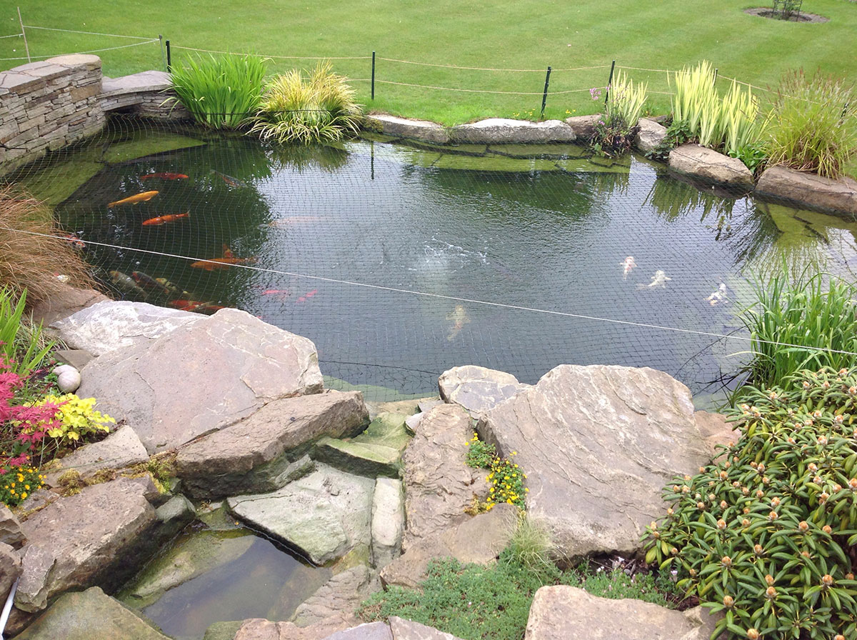 Mini digger hire in Redbridge for pond excavation and groundworks