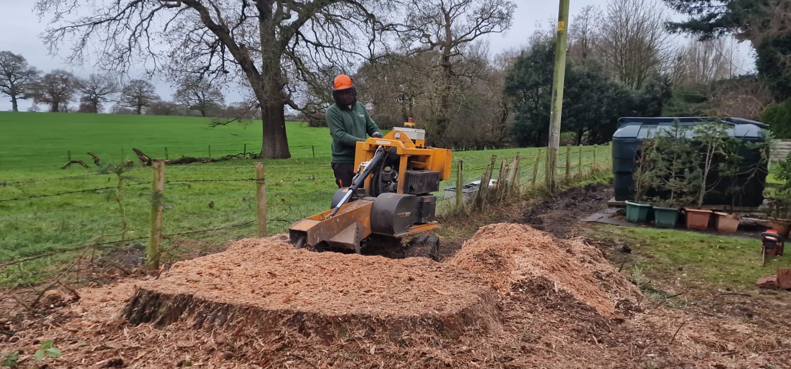 Tree stump removal in Redbridge with stump grinder